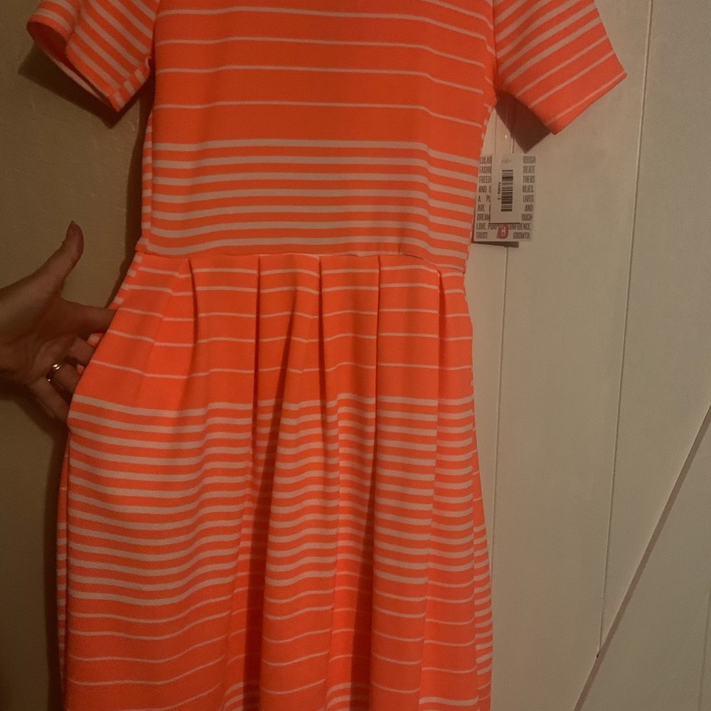 Lularoe Amelia